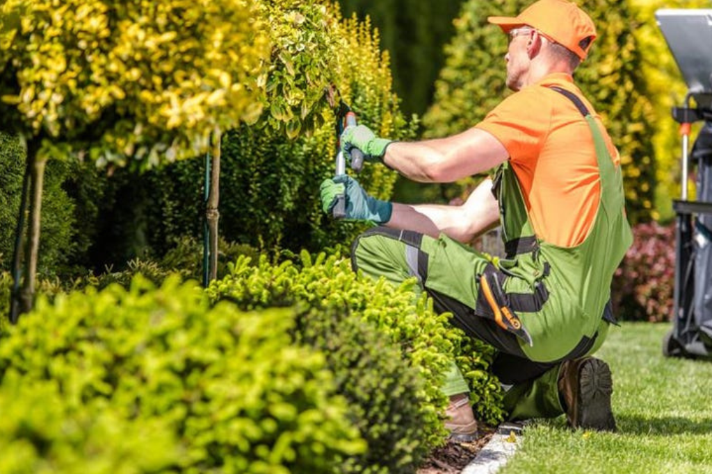 contractor cutting grass