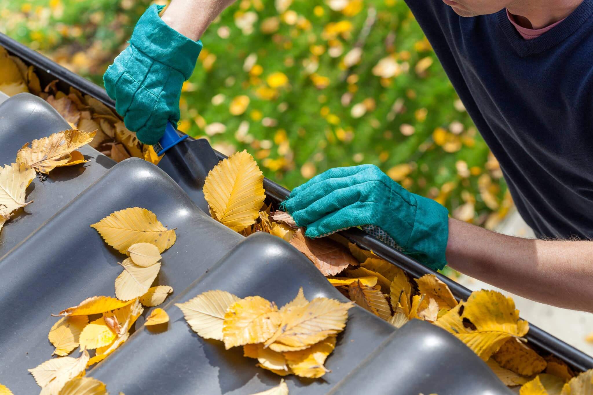 gutter company