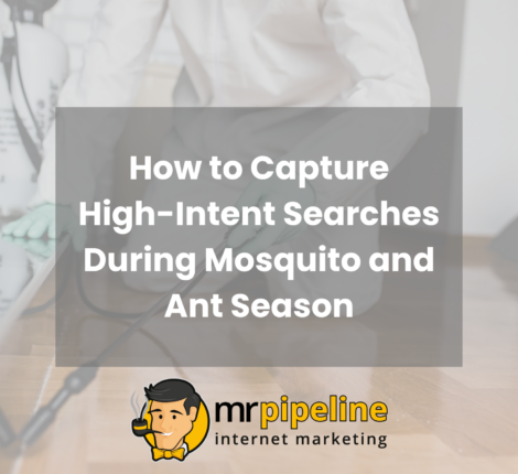 How to Capture High-Intent Searches During Mosquito and Ant Season