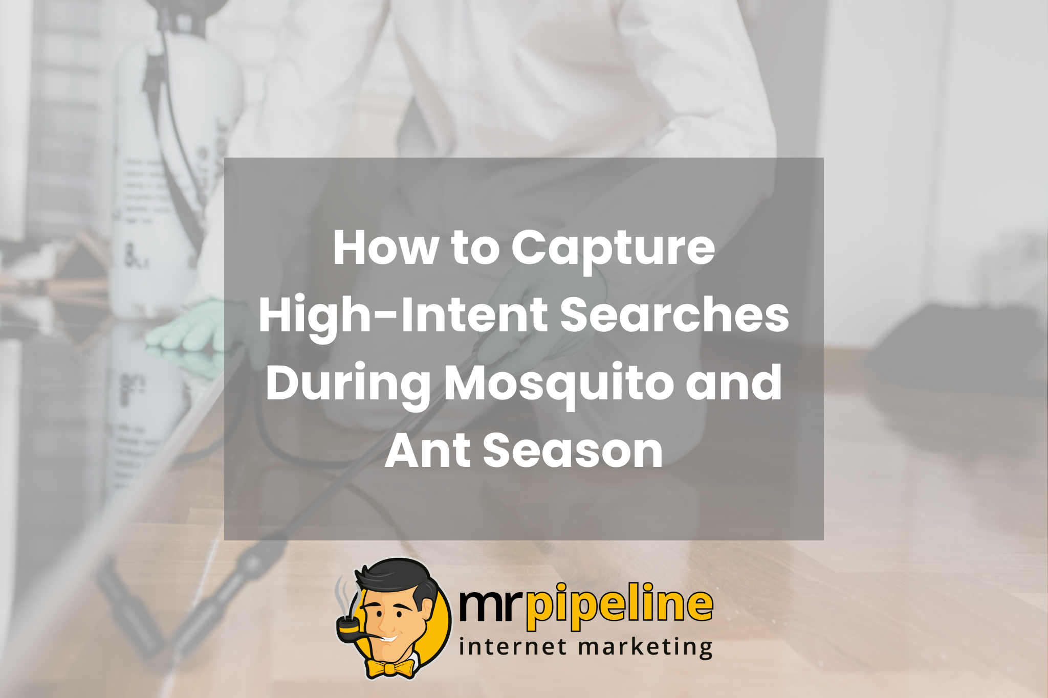 How to Capture High-Intent Searches During Mosquito and Ant Season