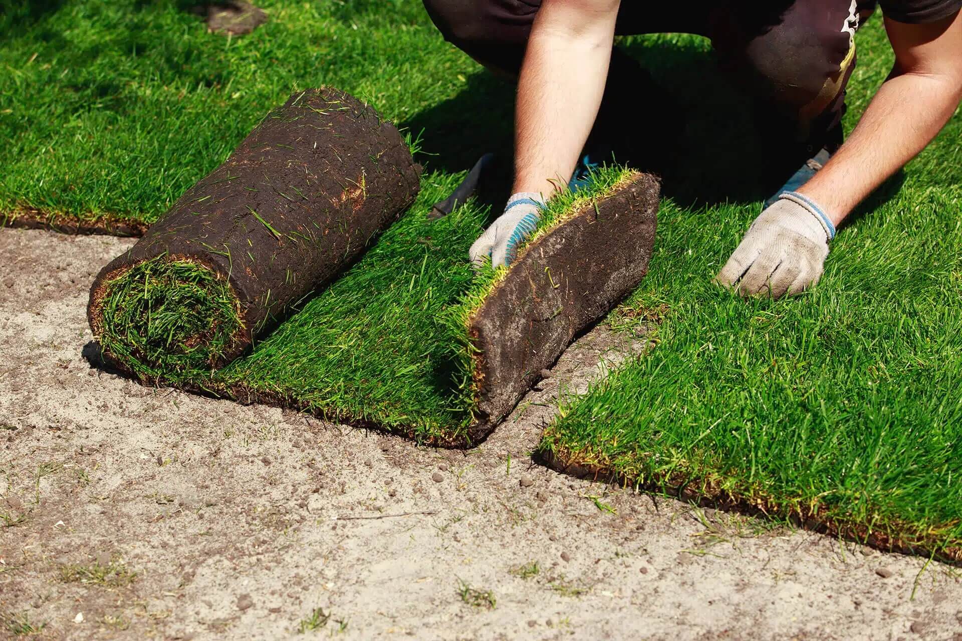 landscaping contractor project