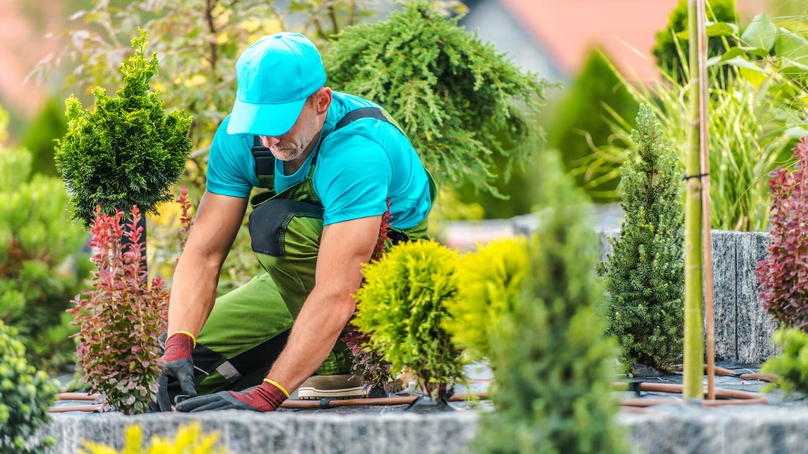 landscaping work