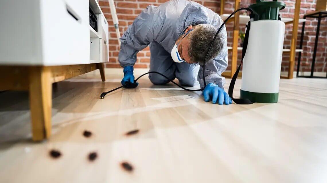pest control service