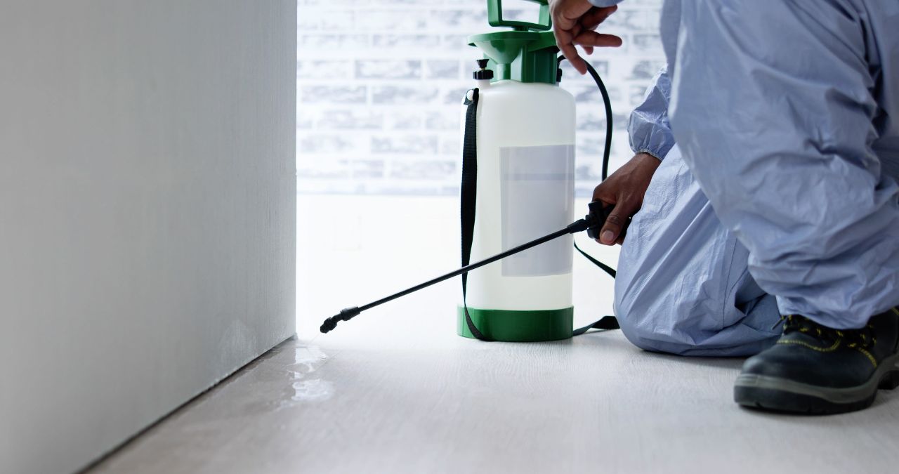 pest control treatments