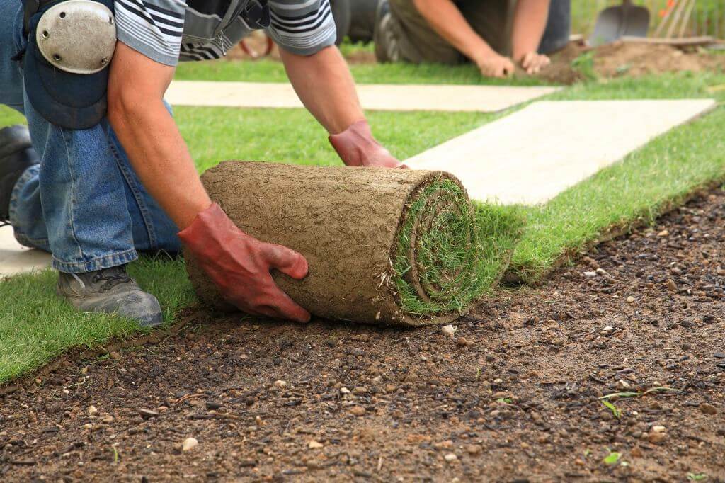 professional landscaping project