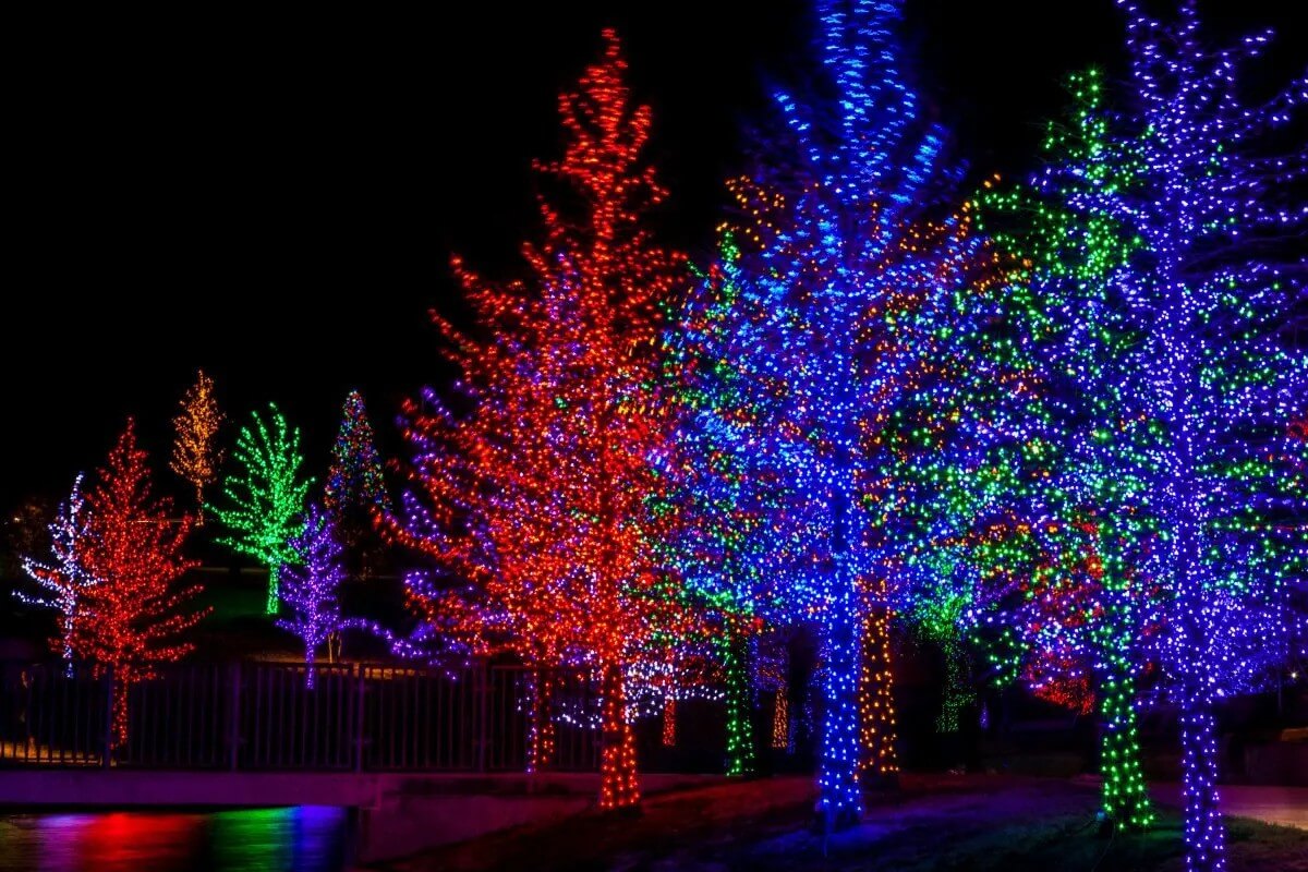 holiday lights