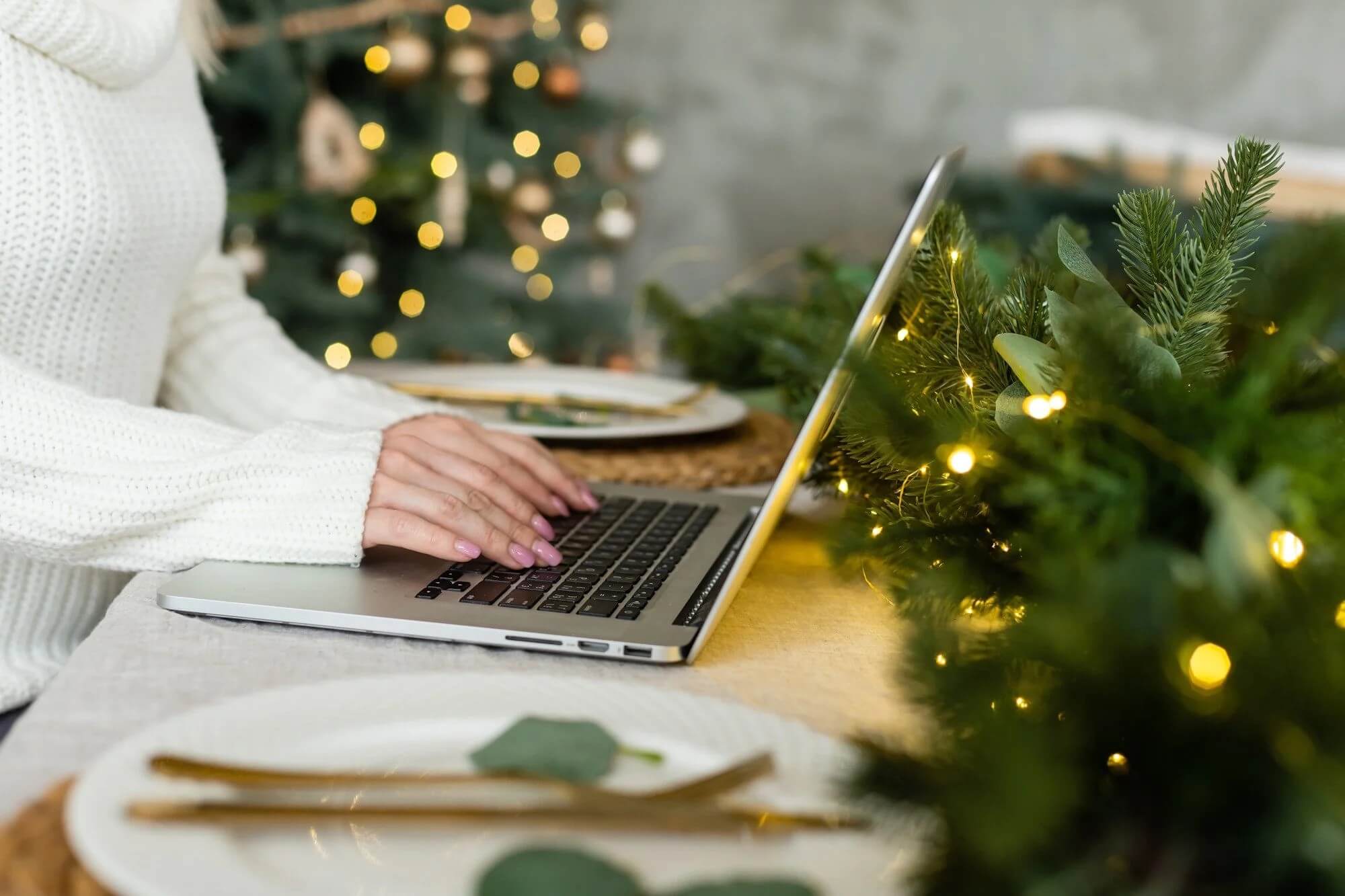 searching the internet for website designs