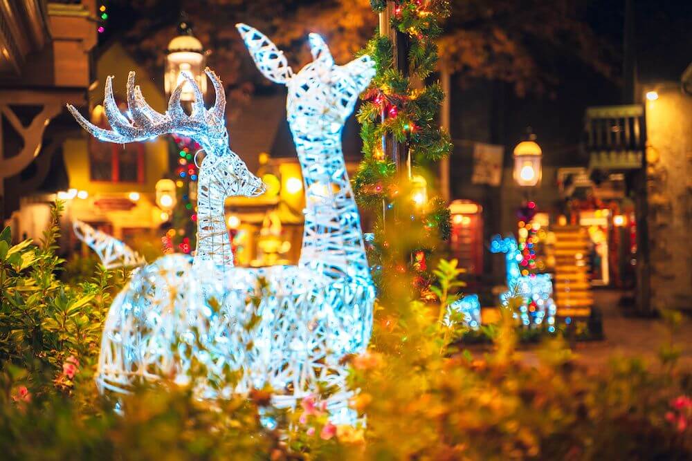 reindeer decorations and holiday lights