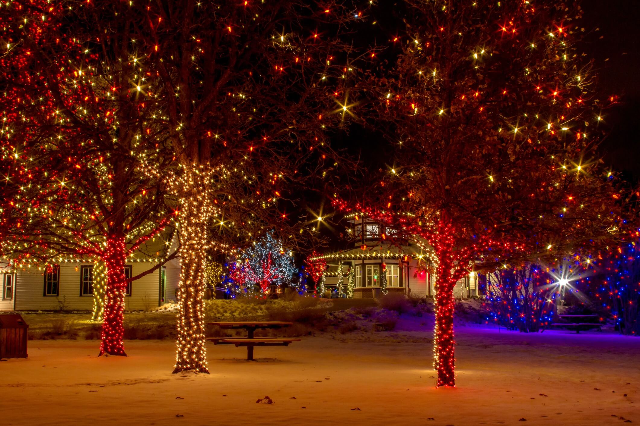 tree lighting decorations